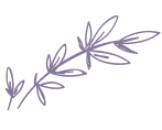 Decorative leaf